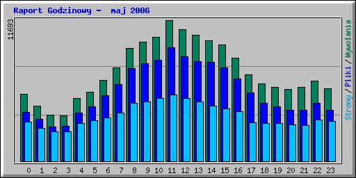 Raport Godzinowy -  maj 2006